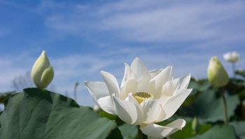 SỐNG ĐỜI CÓ Ý NGHĨA