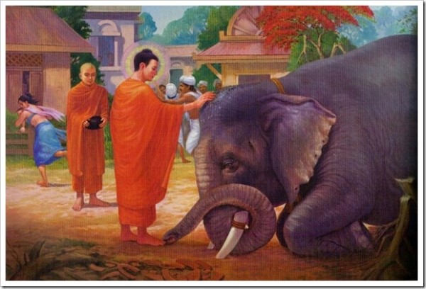 Từ bi là căn bản của đạo Phật