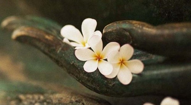 “Trang nghiêm cõi Phật”